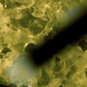 An artist is growing a hand out of human stem cells
