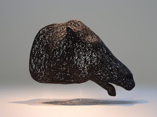 Horse Head