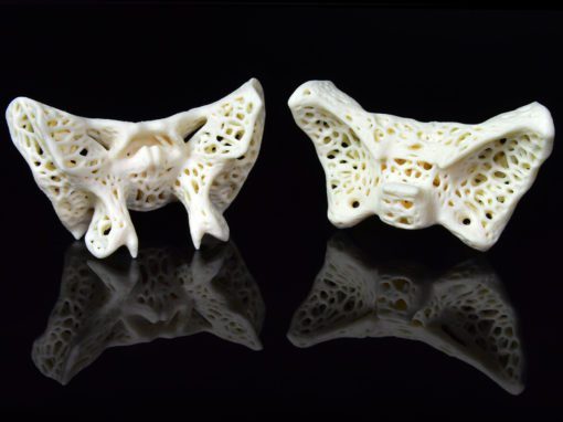 Sphenoids Series