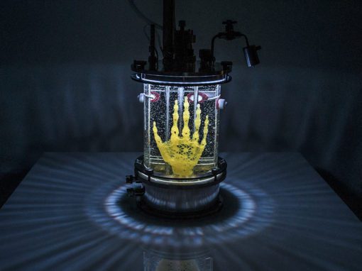 Regenerative Reliquary
