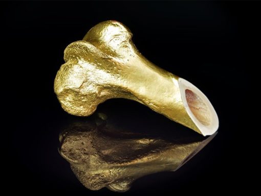 Golden Bone