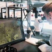 This 3D Printed Art Project Could Have Medical Applications
