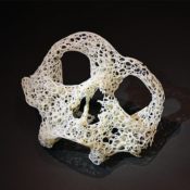 Death and the Female body: Representations of Death in its relationship with Fashion and Femininity
