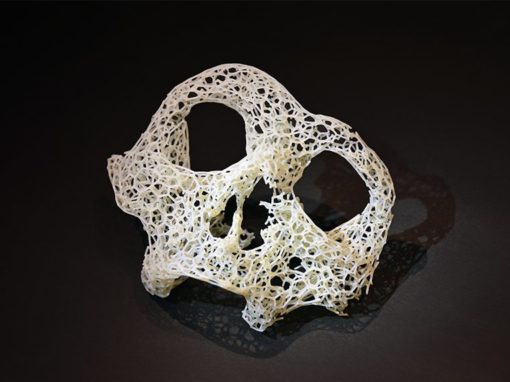 cell skull