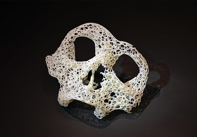 CellSkull-FeaturedImage