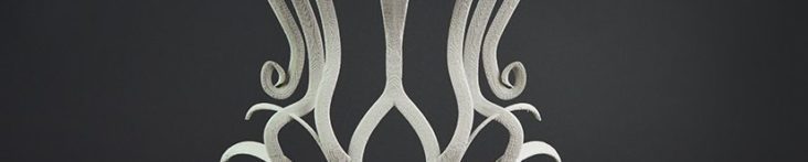 reformed 3d printed corsets