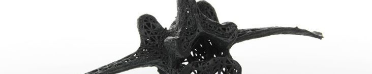Single Vertebra