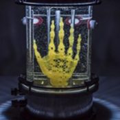 Regenerative Reliquary by Amy Karle