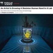 Lab Grown Bones on Display