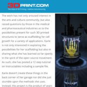 3D Printed Scaffold for Artistic Cell Culture