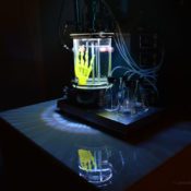 Artist Amy Karle Makes Instructable Manual For A Hand 3D Printed With Stem Cells