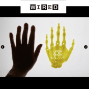 3Dプリンターと幹細胞で「自分の手」を育てるバイオアーティスト