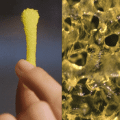 Autodesk Life Sciences: BioNano Research (video)