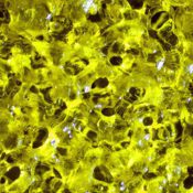 “The Best and Most Unique 3D Printer Materials: Photopolymer Edition” and  “DIY 3D Printing Resins and the Future of Photopolymers”