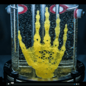 Amy Karle: Bringing Bones to Life (video)