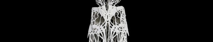 Ligaments