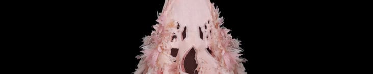 Pink Silk Cardiovascular System