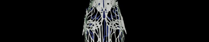 White and Blue Silk Ligaments & Tendons
