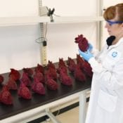 HP Collaborates With Amy Karle, Leading 3D Printing Artist And Futurist