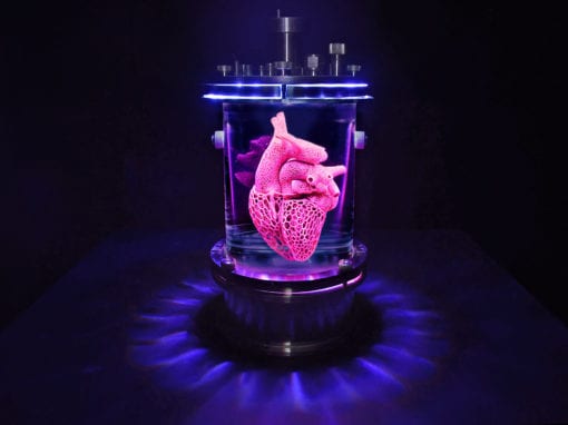 The Heart of Evolution?