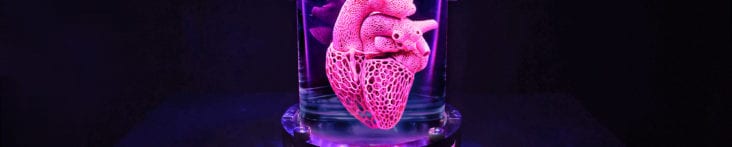 The Heart of Evolution?