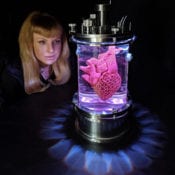 Artfacts: Amy Karle