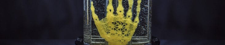 Regenerating the human body with art: Amy Karle’s bio-artistic proposal