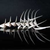 3D Bioprinting: Chiasm of Art, Design, Science, Technology, and Evolution﻿