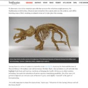 Smithsonian Releases 2.8 Million Images Into Public Domain