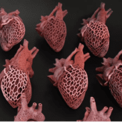 HP | HP Collaborates With Amy Karle, Leading 3D Printing Artist And Futurist