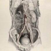 MEDICINE + TECHNOLOGY + ART