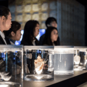 Hyundai and the art of the relationship between man and machine