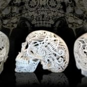 3D Printers Evolve Art