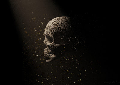 Silhouette of Mortality