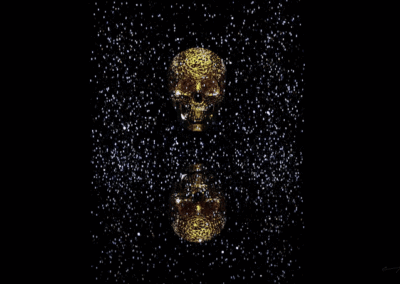 The Gilded Cage