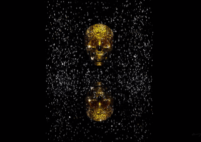The Gilded Cage (Collector's Edition)