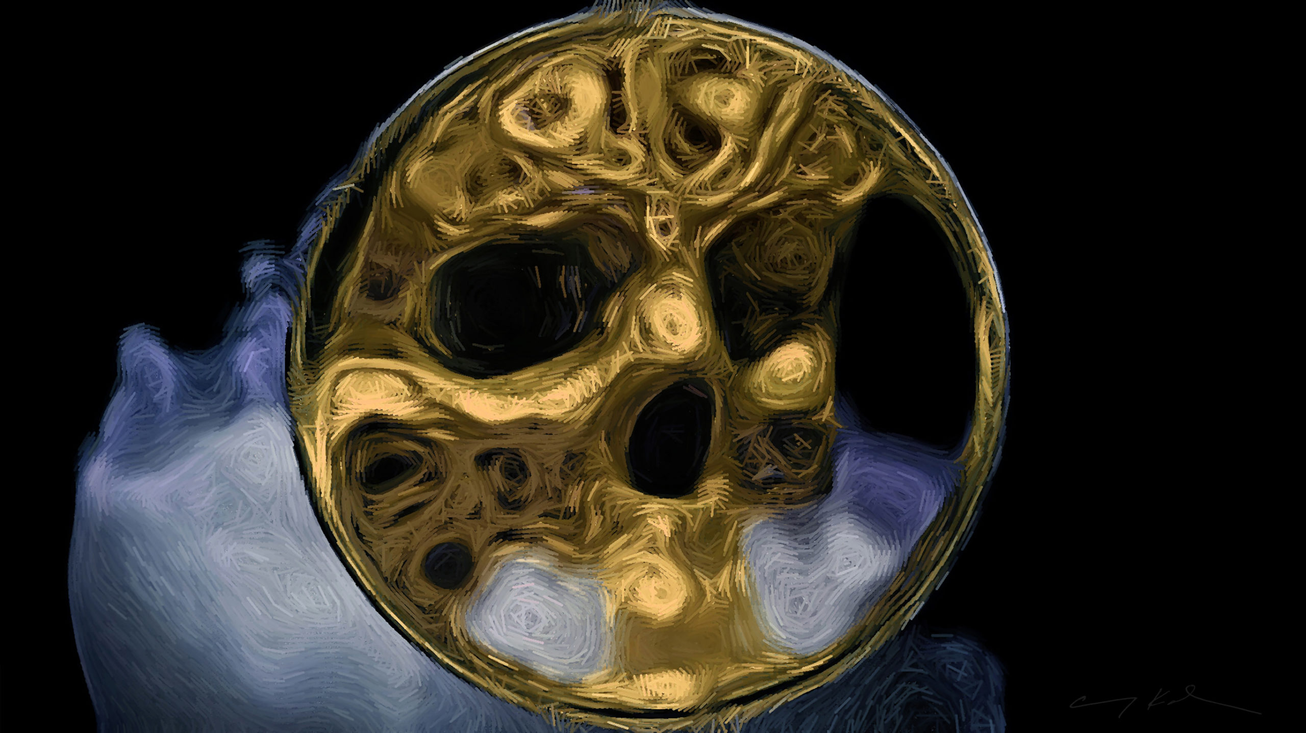 "Skull Collection" by Amy Karle