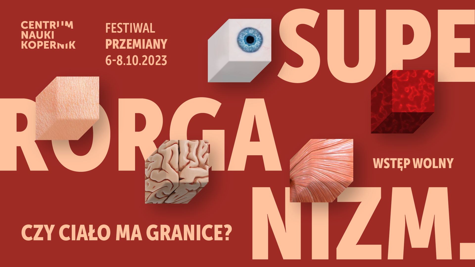 POZ 12 1920x1080 1