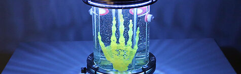 Wikipedia | Bio Art
