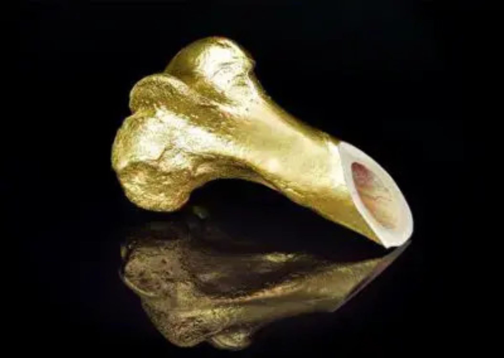 golden bone